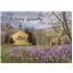 Sympathy SCD50791