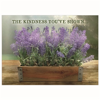 Thank You - Kindness SCD57782