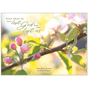 Friendship - Encouragement SCD64945