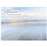 Sympathy SCD65037