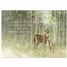 Sympathy SCD84601