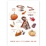 Fall SCD87255