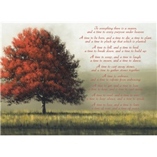 Sympathy - Inspirational SCD8849