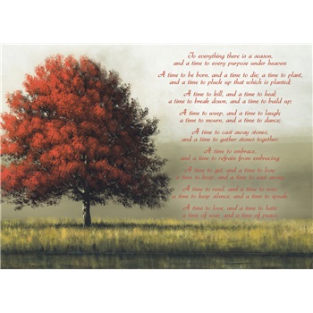 Sympathy - Inspirational SCD8849