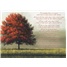Sympathy - Inspirational SCD8849