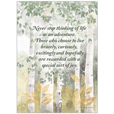 Birthday - Inspirational SCD92928