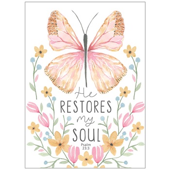 Friendship - Encouragement SCD93391
