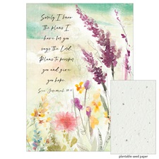 Care & Concern - Prayer Life SFC75383