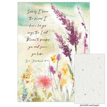 Care & Concern - Prayer Life SFC75383