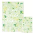 Baby - Prayer Life SSC59736