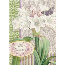 Sympathy SVC25380