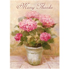 Thank You SVC3552