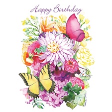 Birthday  SVC43315
