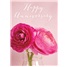 Anniversary SVC45803