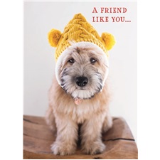 Friendship SVC50309