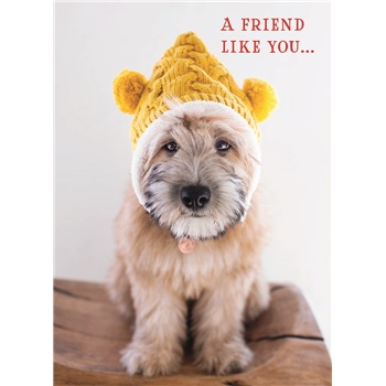 Friendship SVC50309