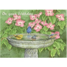 Birthday  SVC52221