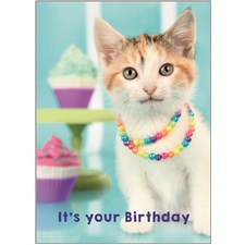 Birthday - Girl  SVC57213
