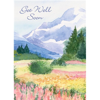 Get Well SVC6207