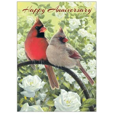 Anniversary SVC71453