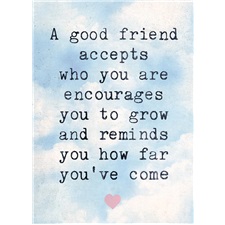 Friendship VGC13392