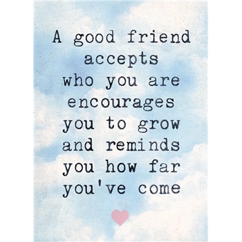Friendship VGC13392