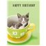 Birthday  VGC35448