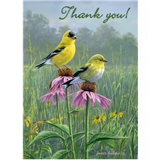 Thank You VGC6042