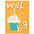 Birthday  VGC66503