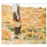 Living in the Light 2026 Wall Calendar WCA103520