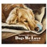 Dogs We Love 2026 Wall Calendar WCA103814