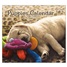 Puppies 2026 Wall Calendar WCA103852