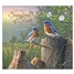 Songbirds of Faith 2026 Wall Calendar WCA104457
