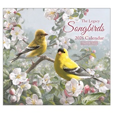 Songbirds 2026 Wall Calendar WCA104500