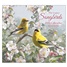 Songbirds 2026 Wall Calendar WCA104500