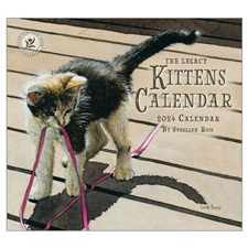 Kittens 2024 Wall Calendar WCA84390