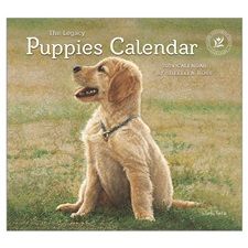 Puppies 2024 Wall Calendar WCA84413