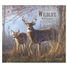 Wildlife 2024 Wall Calendar WCA85042